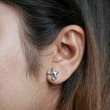 Silver Stardust Earrings