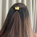 Molten Pony Hair Pin
