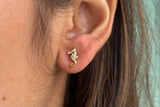 Seahorse Studs