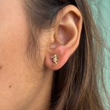 Seahorse Studs