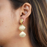 Shell Drop Earrings