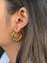 Sculpted Shine Hoops