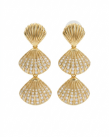 Shell Drop Earrings