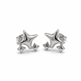 Silver Stardust Earrings
