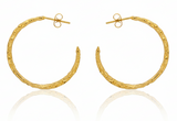 Gold Molten Hoops