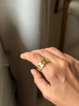 Link Ring