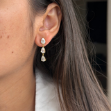 Crystal Drop Earrings