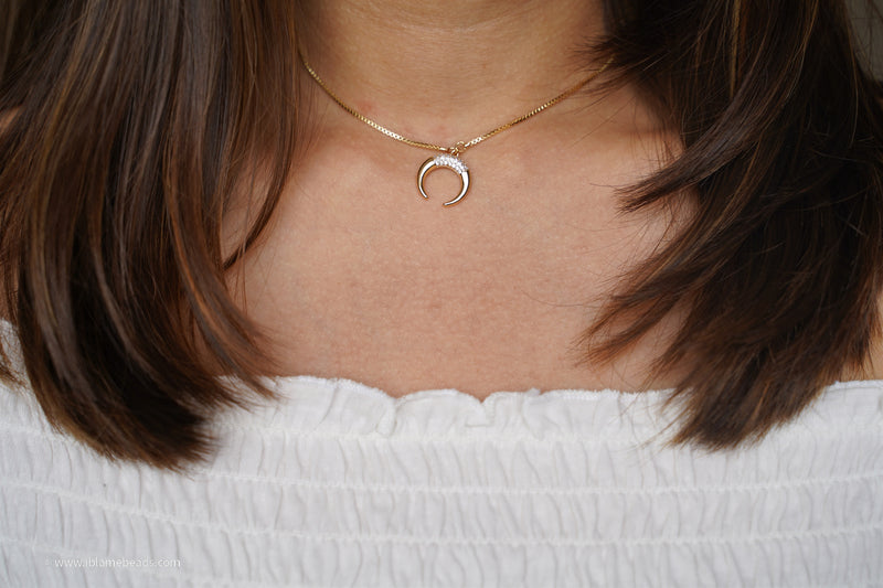 Horseshoe necklace