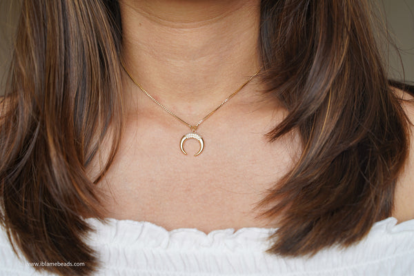 Horseshoe necklace