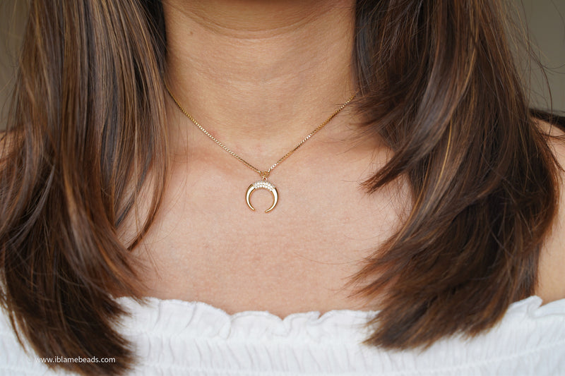 Horseshoe necklace