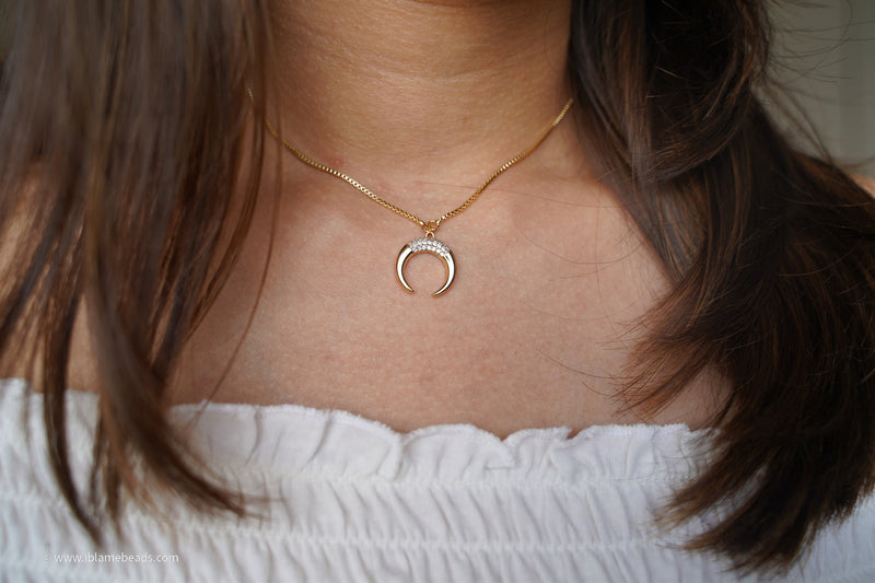 Horseshoe necklace