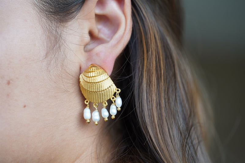 Midas Shell Earring