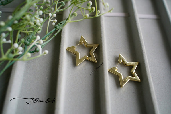 Gold Star Earring